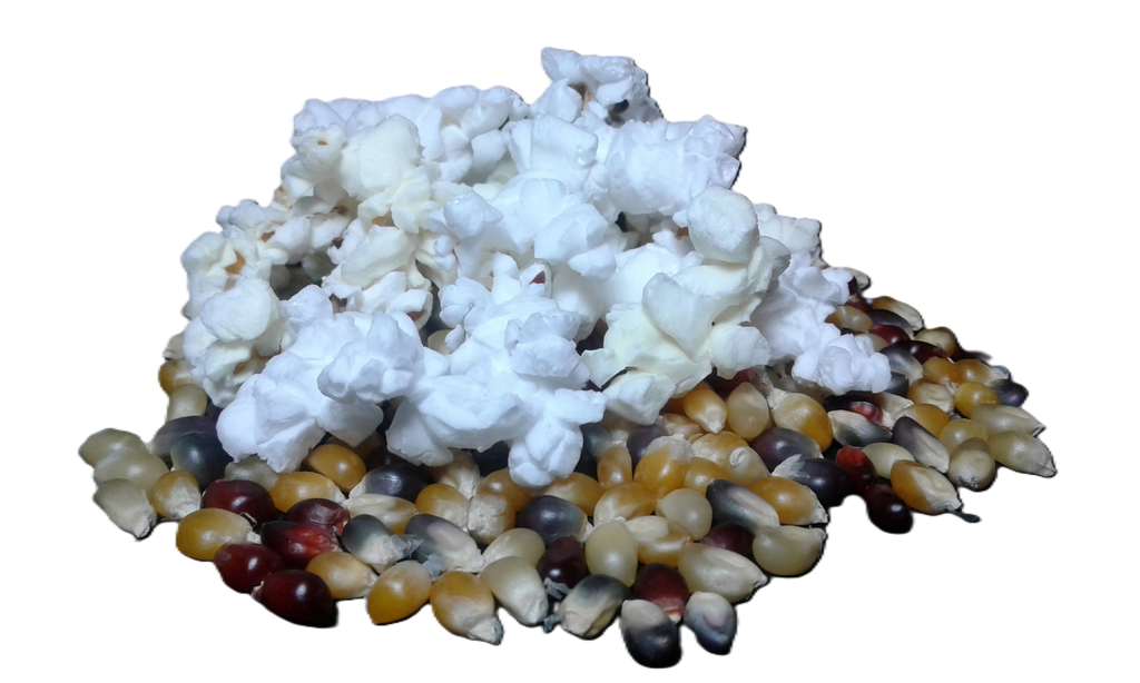 CALICO POPCORN