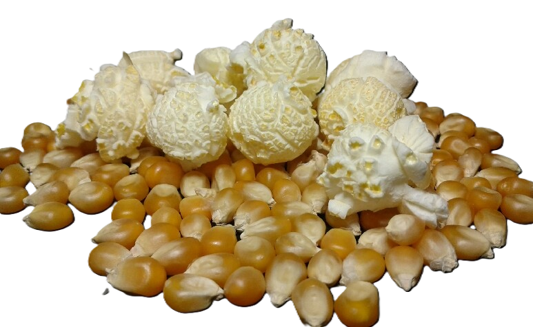 MUSHROOM POPCORN