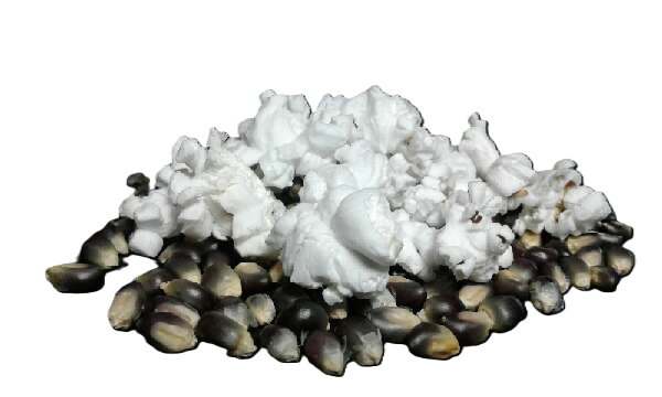 SHAMAN BLUE POPCORN