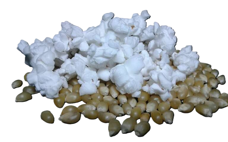 WHITE HULLESS POPCORN